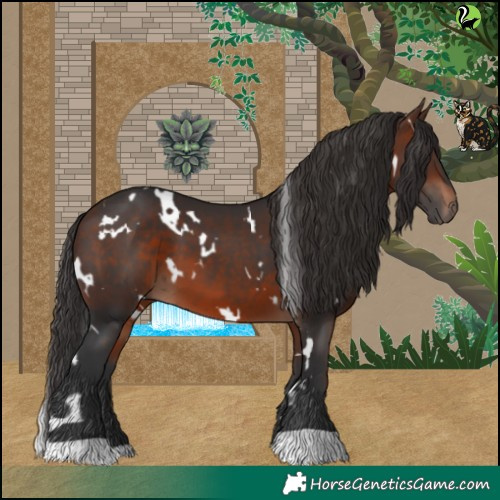 Horse Color:White Spotted Brown 