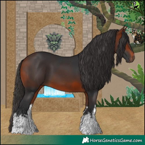 Horse Color:White Spotted Bay 