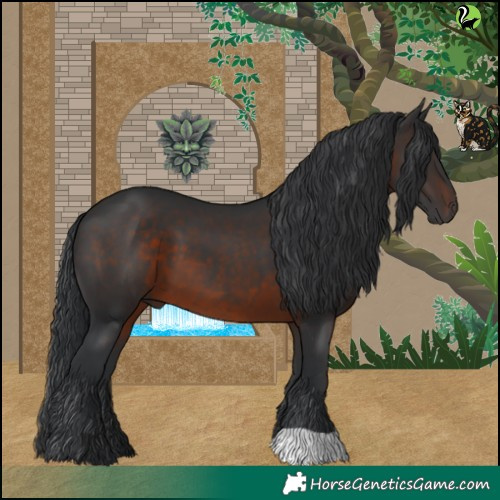 Horse Color:Brown 