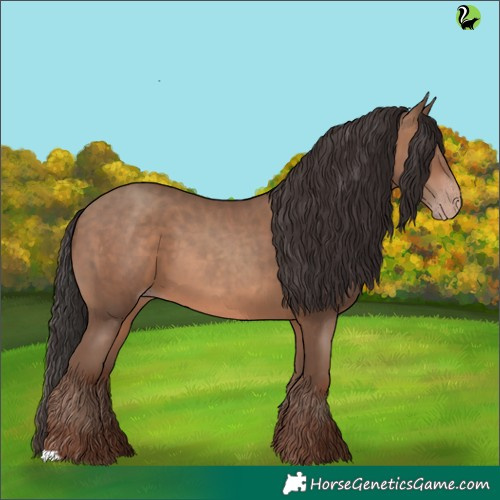 Horse Color:Sable Champagne