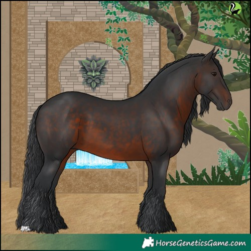 Horse Color:Brown 