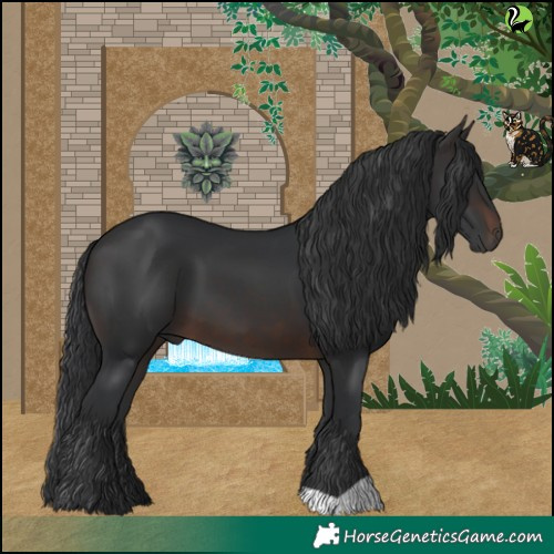 Horse Color:Brown 