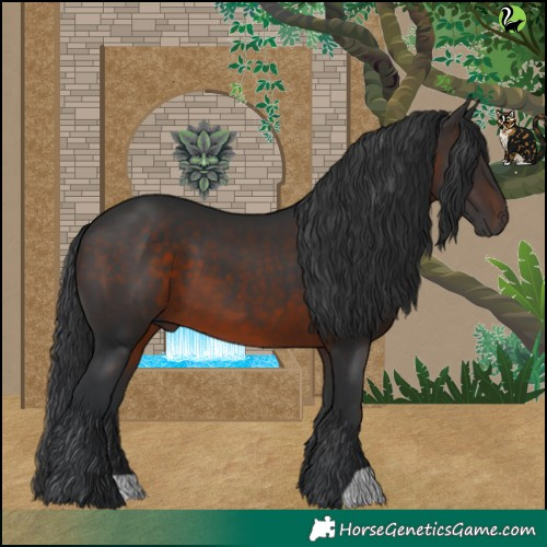 Horse Color:Brown 