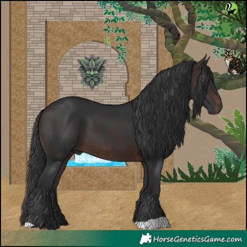 Horse Color:Brown 