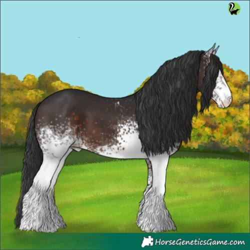 Horse Color:White Spotted Brown 