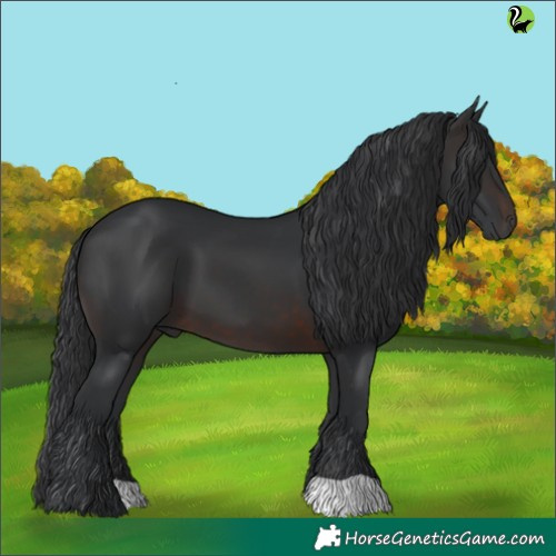 Horse Color:Brown 