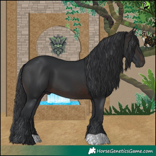 Horse Color:Brown 