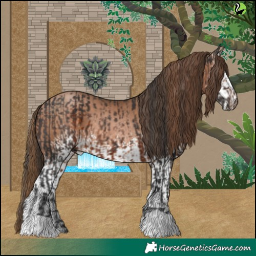 Horse Color:Brown and White Spotted Brown Pearl
