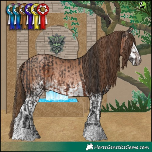 Horse Color:Brown  and White Spotted Brown Pearl 