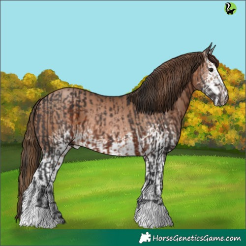 Horse Color:Brown  and White Spotted Brown Pearl 
