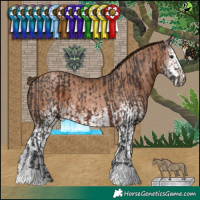 Horse Color:Brown  and White Spotted Brown Pearl 