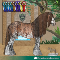 Horse Color:Brown and White Spotted Brown Pearl