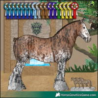 Horse Color:Brown and White Spotted Brown Pearl