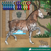 Horse Color:Brown  and White Spotted Brown Pearl 