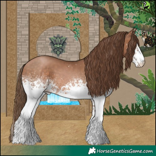 Horse Color:White Spotted Brown Pearl 