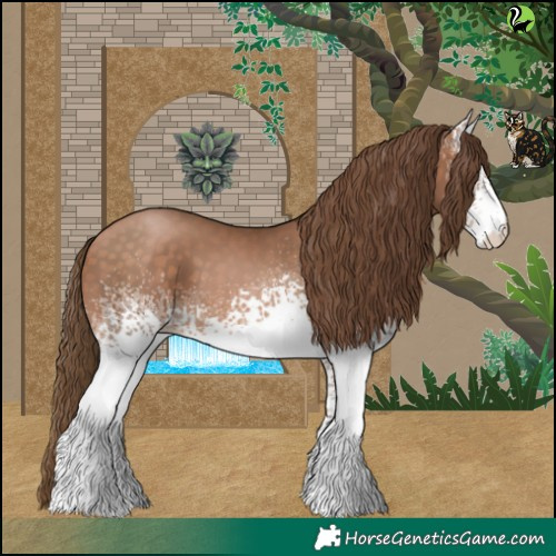 Horse Color:White Spotted Brown Pearl 