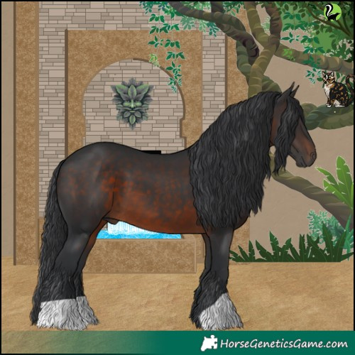 Horse Color:Brown 