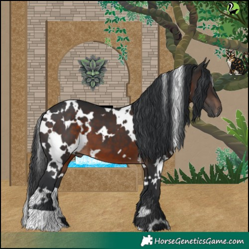 Horse Color:White Spotted Brown 