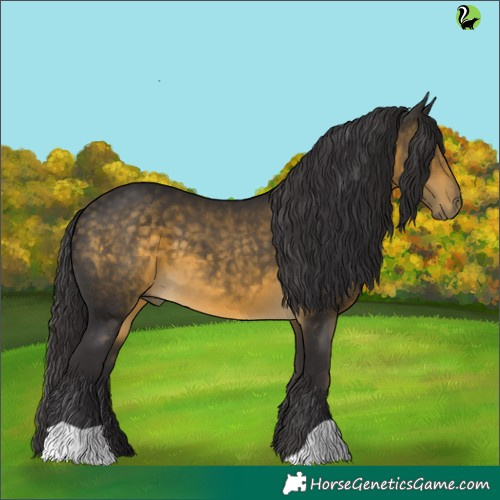 Horse Color:Buckskin