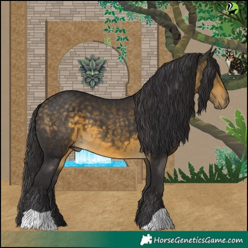 Horse Color:Buckskin 