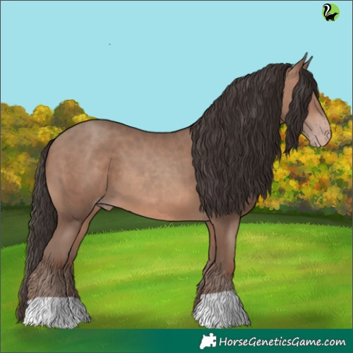 Horse Color:Sable Champagne 