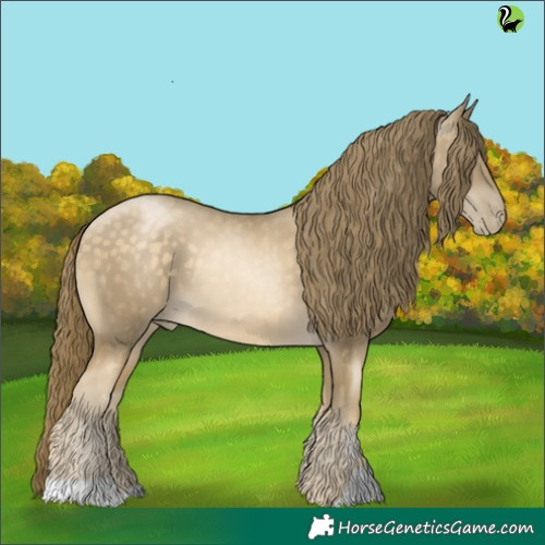 Horse Color:Buckskin Pearl