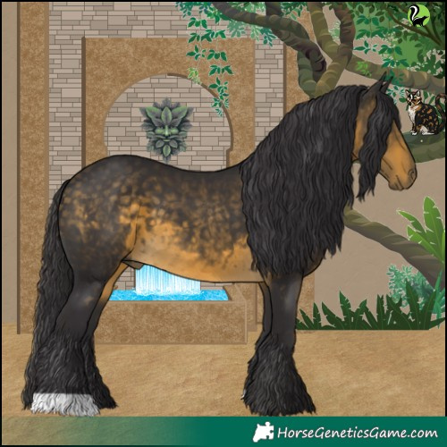 Horse Color:Buckskin 