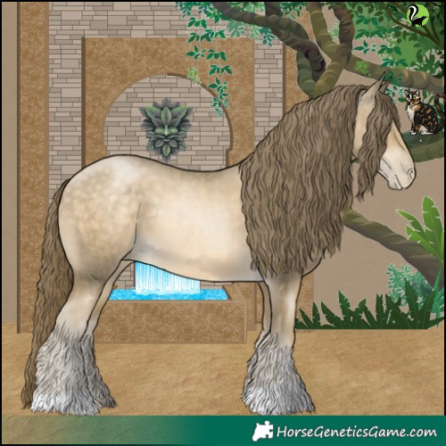 Horse Color:Buckskin Pearl 