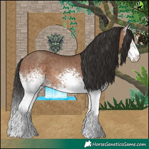 Horse Color:White Spotted Sable Champagne Rabicano 