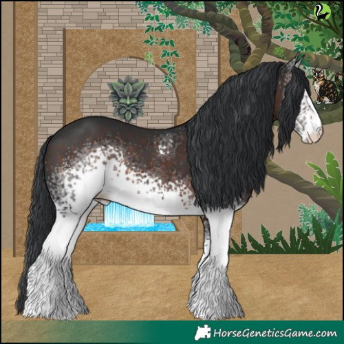 Horse Color:White Spotted Brown Rabicano 