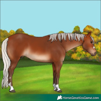 Horse Color:Silver Bay