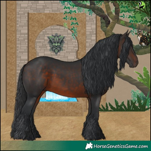 Horse Color:Brown 