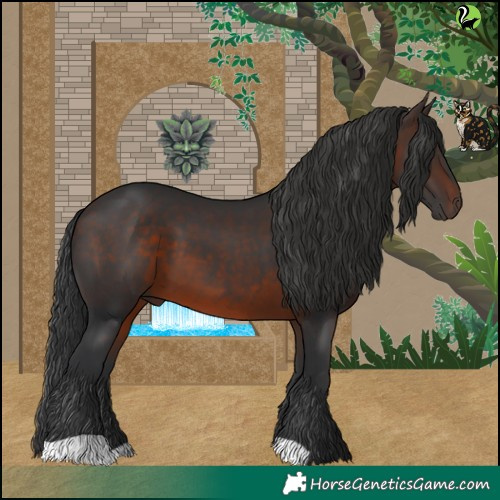 Horse Color:Brown 