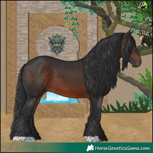 Horse Color:Brown 
