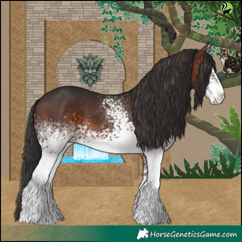 Horse Color:White Spotted Brown 
