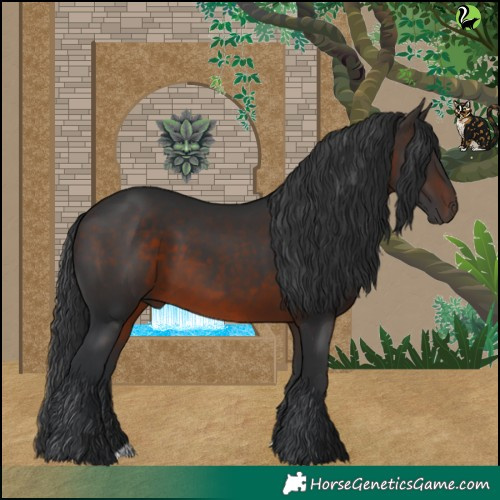 Horse Color:Brown 