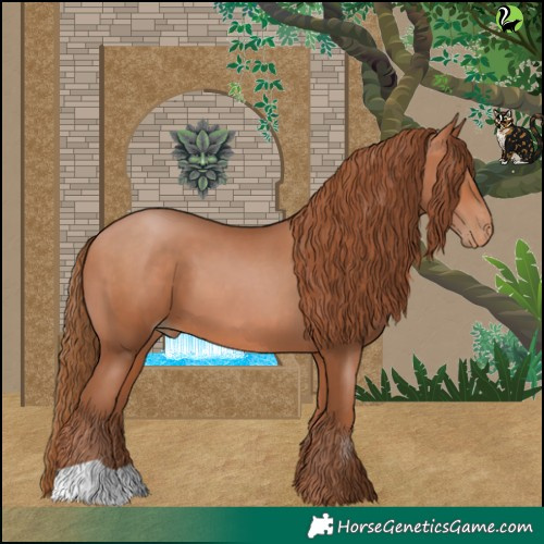 Horse Color:Bay Pearl 