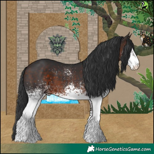 Horse Color:White Spotted Brown 