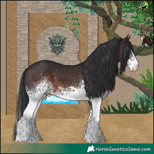 Horse Color:White Spotted Brown 