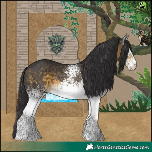 Horse Color:White Spotted Buckskin 