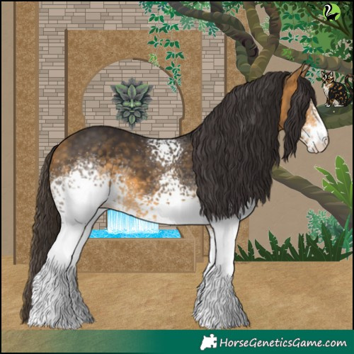 Horse Color:White Spotted Buckskin 