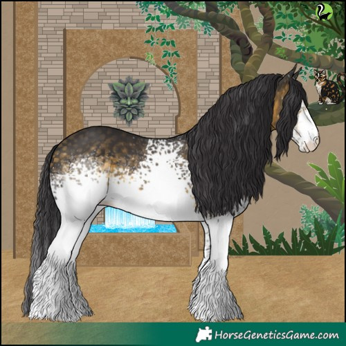 Horse Color:White Spotted Buckskin 
