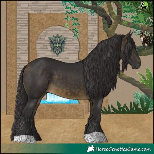 Horse Color:Buckskin 