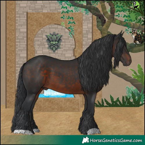 Horse Color:Brown 