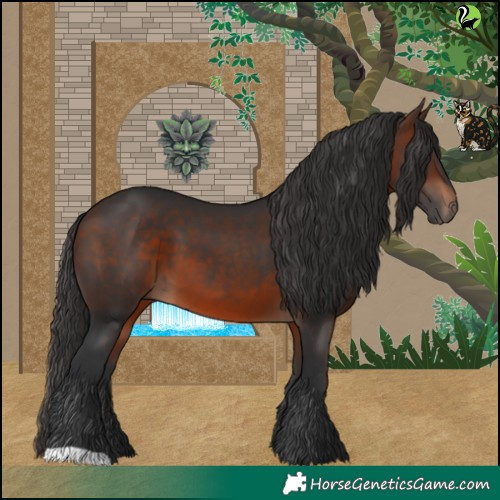 Horse Color:Brown 