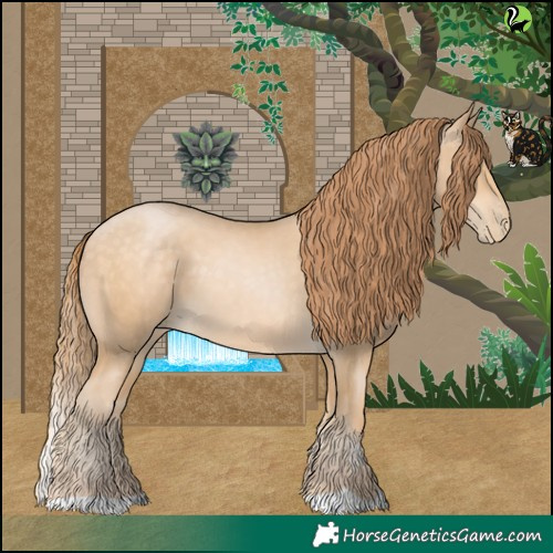 Horse Color:Buckskin Pearl 