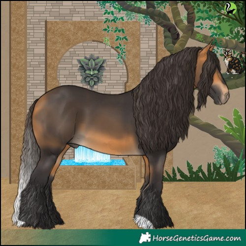 Horse Color:Buckskin 