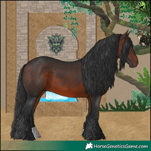 Horse Color:Brown 