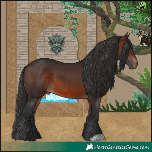 Horse Color:Brown 