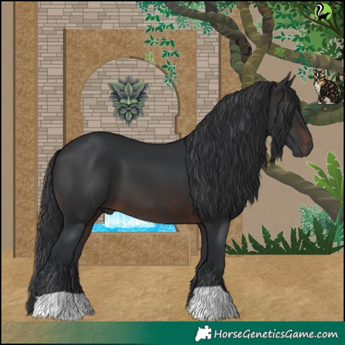 Horse Color:Brown 